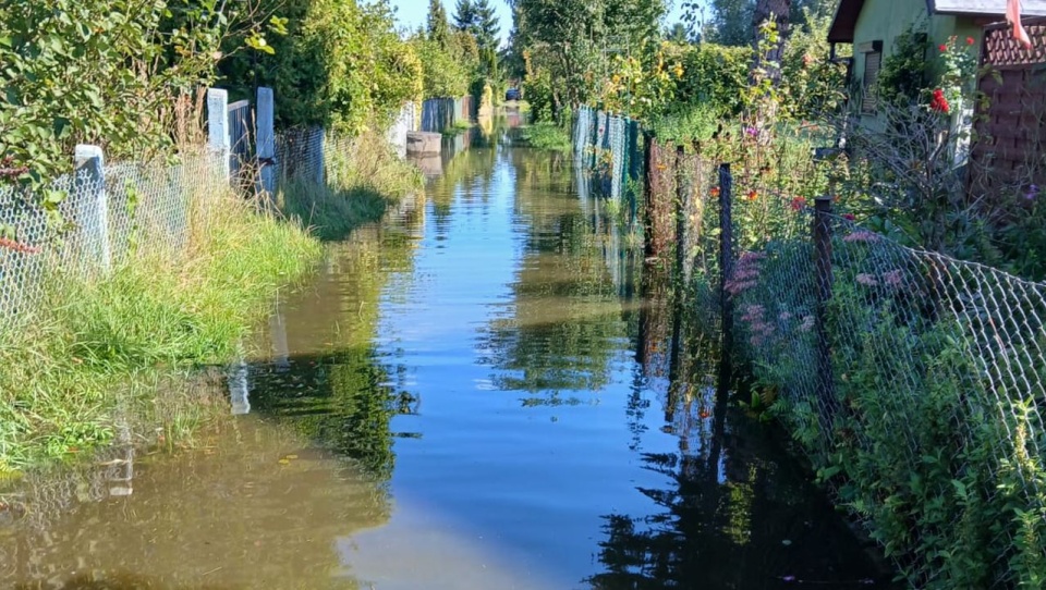 Fot. Archiwum prywatne