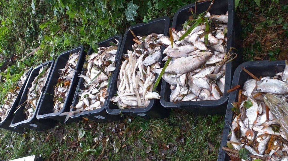 Fot. FB/Wody Polskie RZGW Szczecin