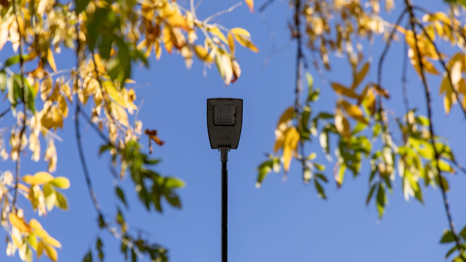 Fot. Robert Stachnik [Radio Szczecin]