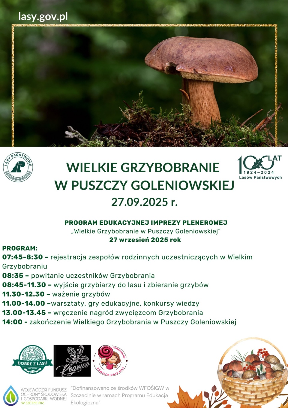 Materiały organizatora.