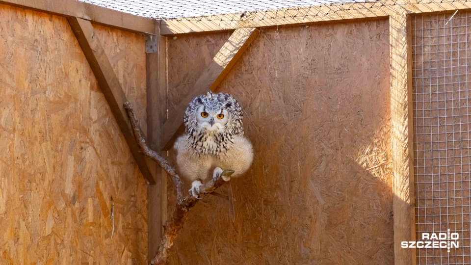 Fot. Robert Stachnik [Radio Szczecin]