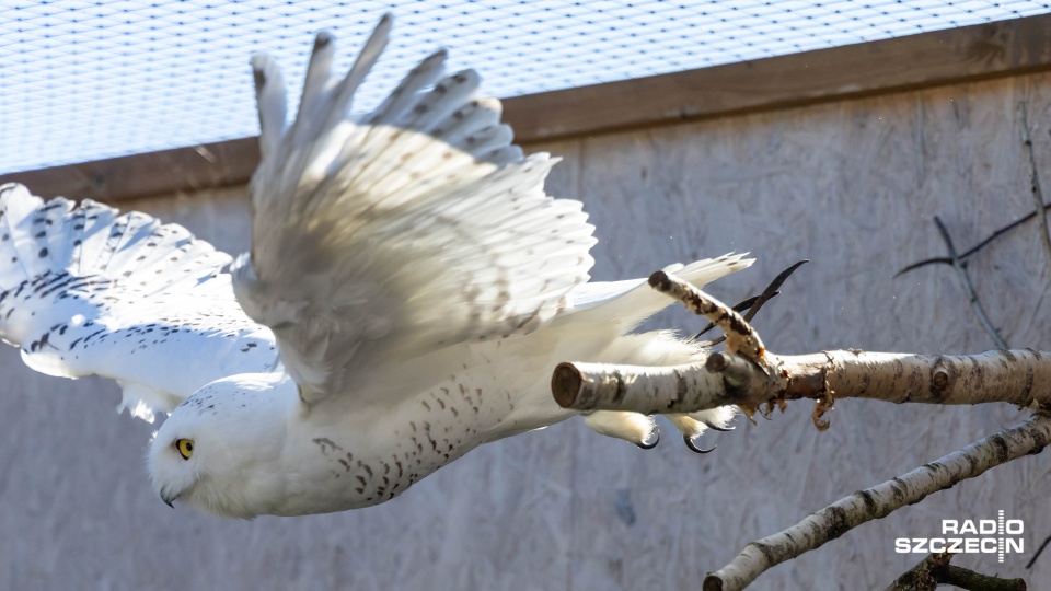 Fot. Robert Stachnik [Radio Szczecin]