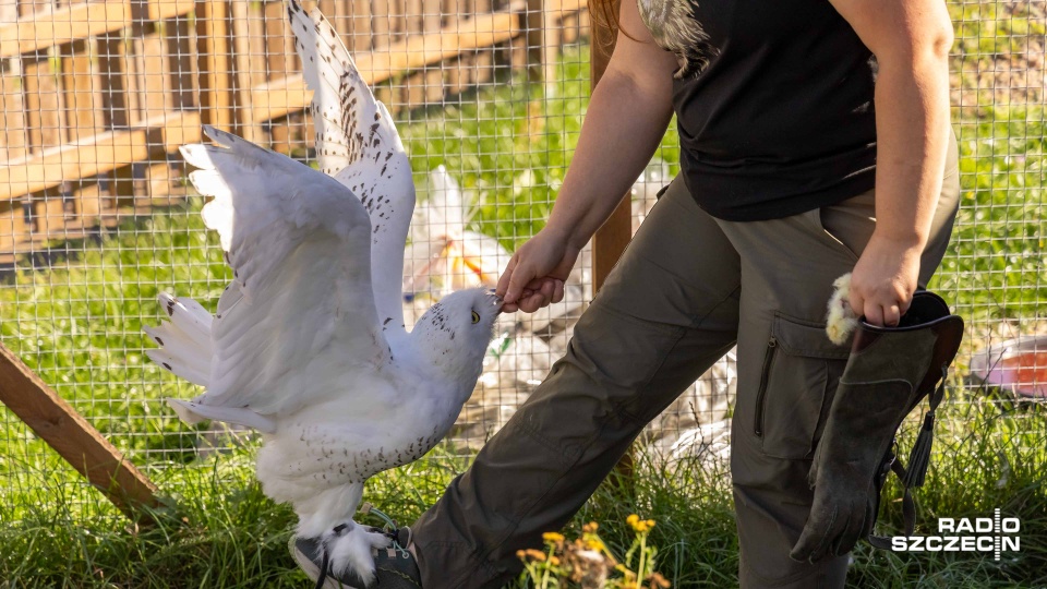 Fot. Robert Stachnik [Radio Szczecin]