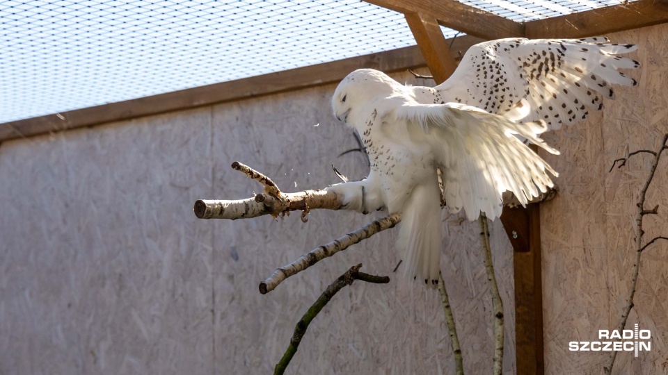 Fot. Robert Stachnik [Radio Szczecin]