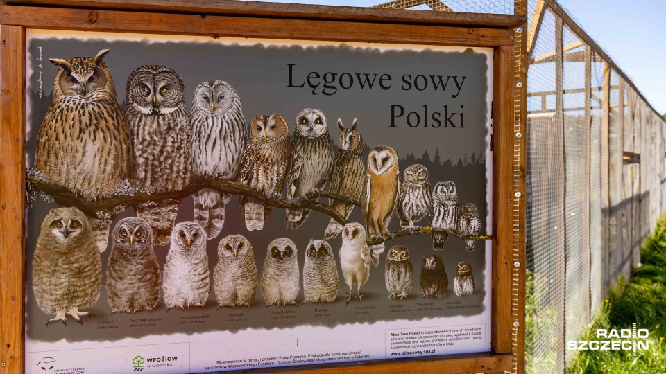 Fot. Robert Stachnik [Radio Szczecin]