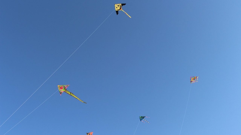 Fot. pixabay.com / Miller_Eszter (domena publiczna)