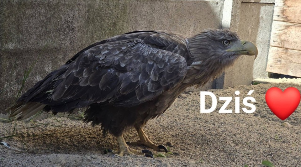 fot. Zwierzogród Wielgowo/ Facebook