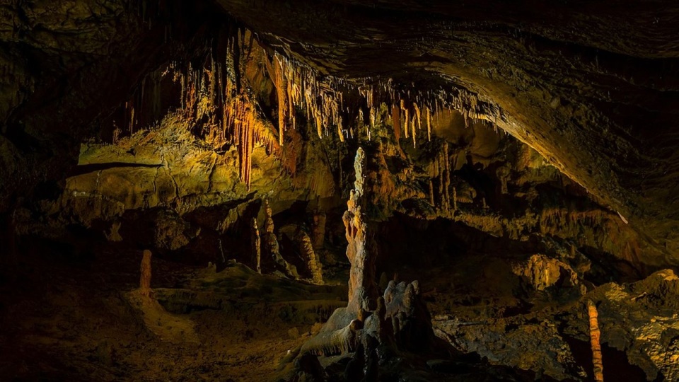 źródło: https://pixabay.com/pl/6565856/Bergadder/CC0 - domena publiczna