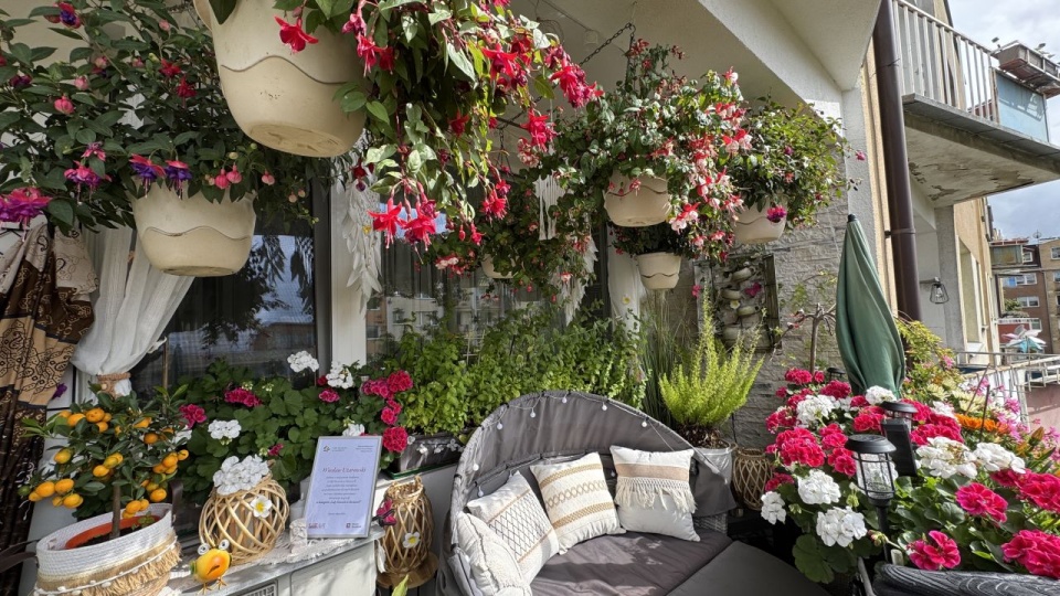 Fot. Archiwum prywatne