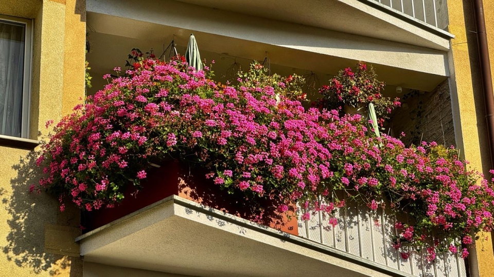 Fot. Archiwum prywatne