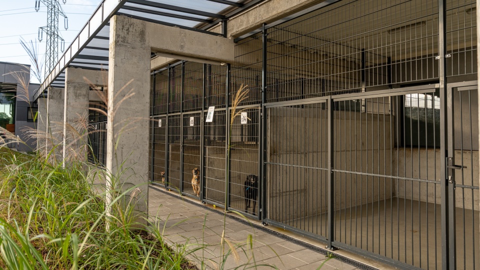 Fot. Schronisko dla Bezdomnych Zwierząt w Szczecinie