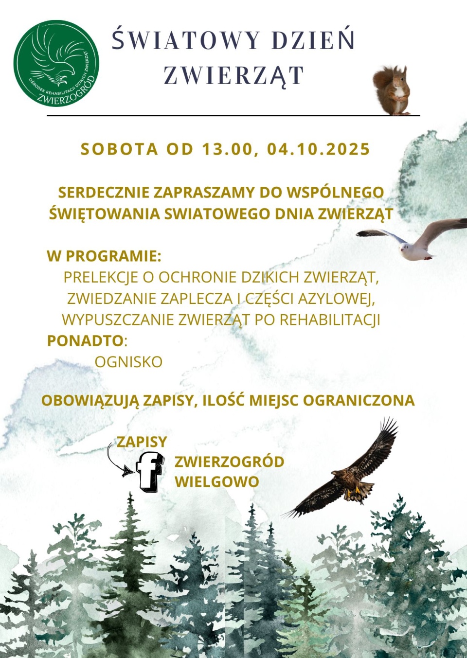 Materiały organizatora.