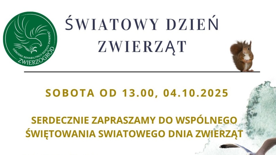 Materiały organizatora.