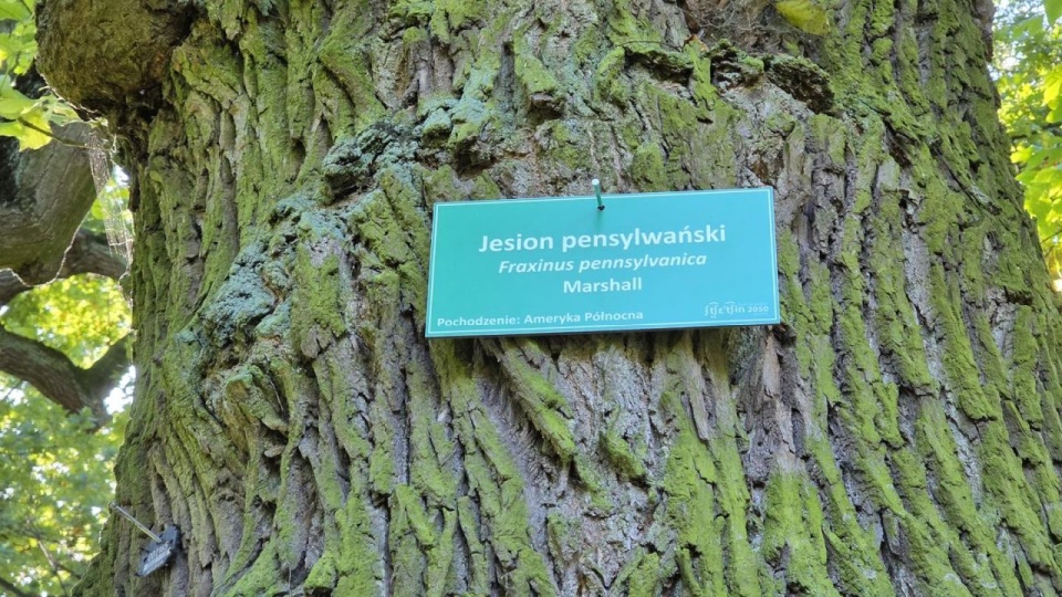 źródło: www.facebook.com/kadlubowskilukasz