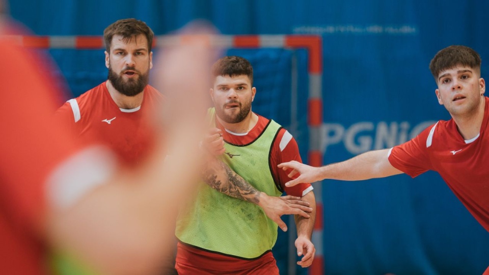 źródło: https://www.facebook.com/sandraspapogonszczecin