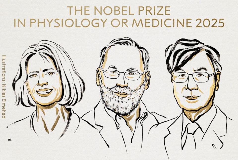 źródło: x.com/NobelPrize