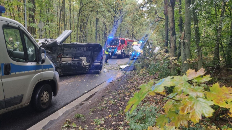 Fot. Rafael Żełobowski [Radio Szczecin]