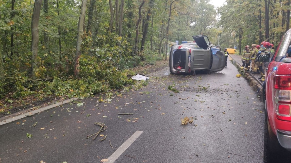 Fot. Rafael Żełobowski [Radio Szczecin]