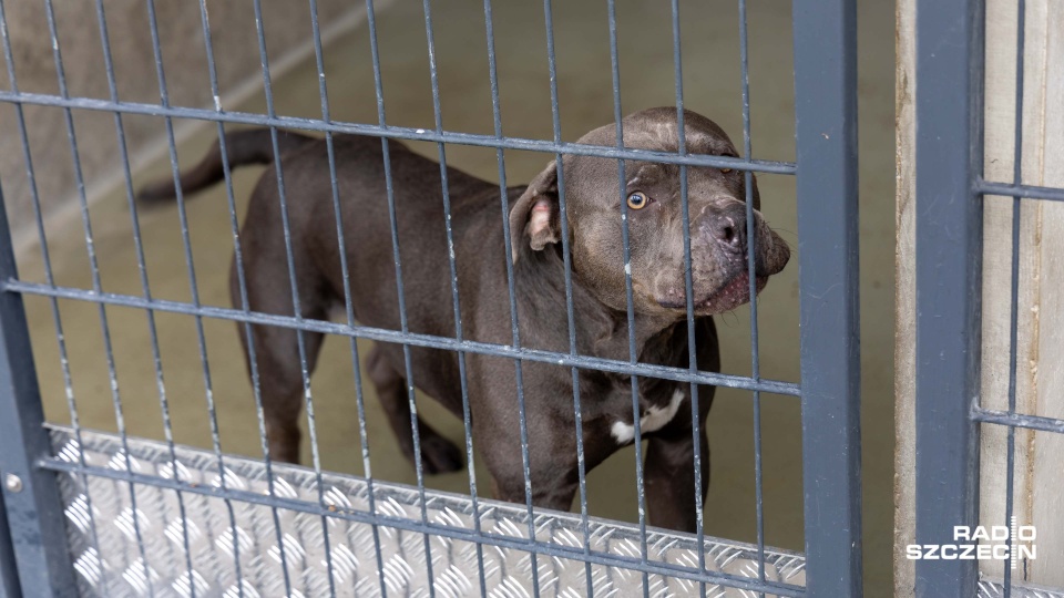 Fot. Robert Stachnik [Radio Szczecin/Archiwum]