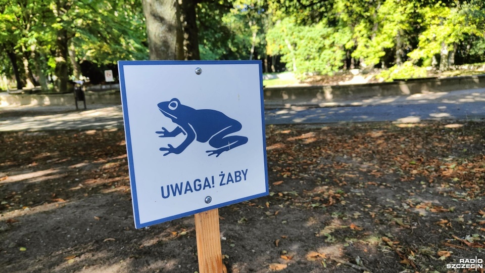 Fot. Przemysław Polanin [Radio Szczecin]