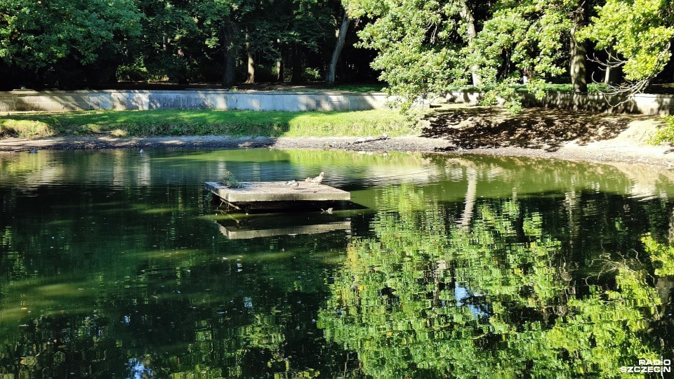 Fot. Przemysław Polanin [Radio Szczecin]