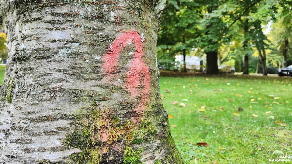 Fot. Przemysław Polanin [Radio Szczecin]