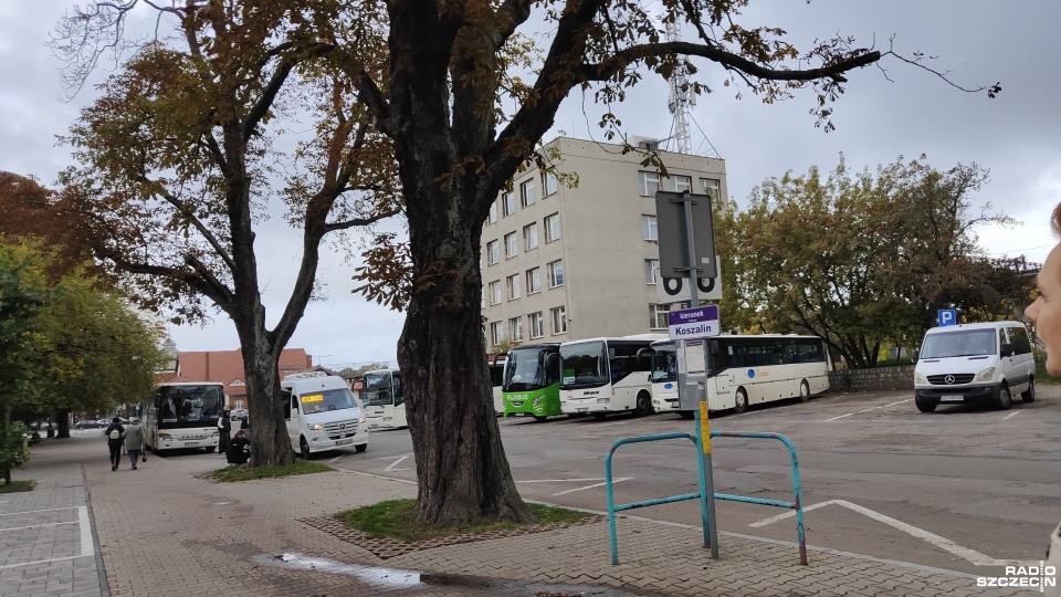 Fot. Przemysław Polanin [Radio Szczecin]