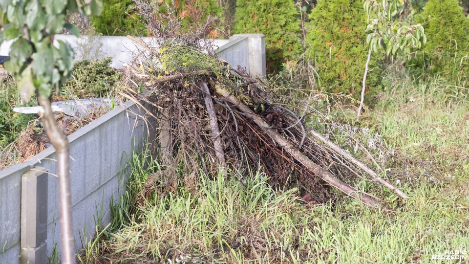 Fot. Kamila Kozioł [Radio Szczecin]