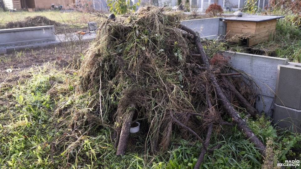Fot. Kamila Kozioł [Radio Szczecin]