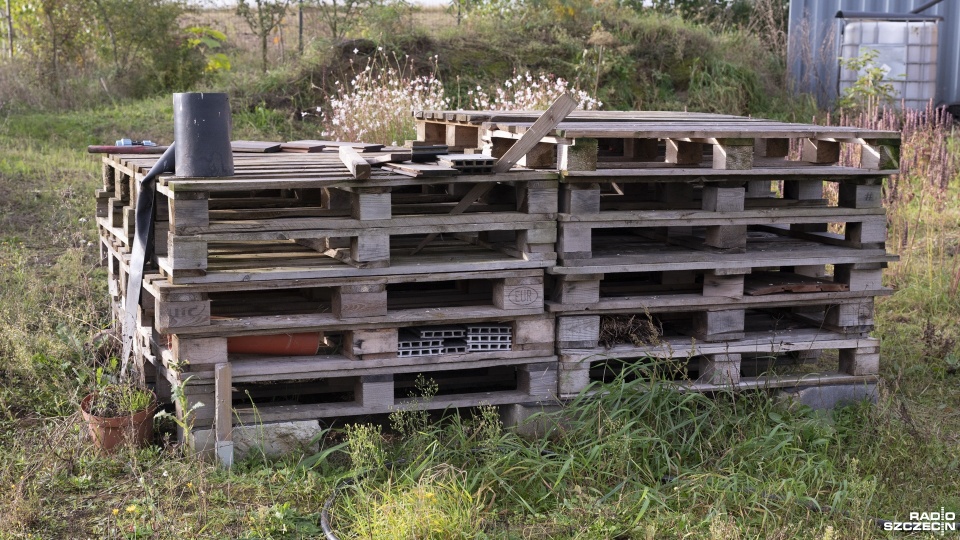 Fot. Kamila Kozioł [Radio Szczecin]