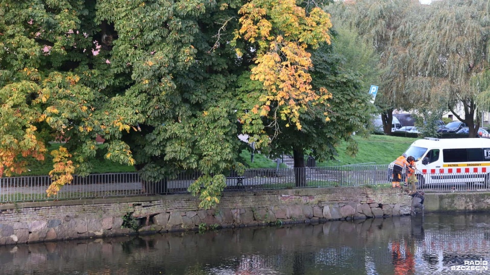 Fot. Przemysław Polanin [Radio Szczecin]