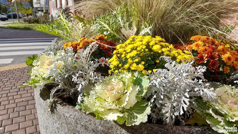 Fot. Joanna Maraszek [Radio Szczecin]