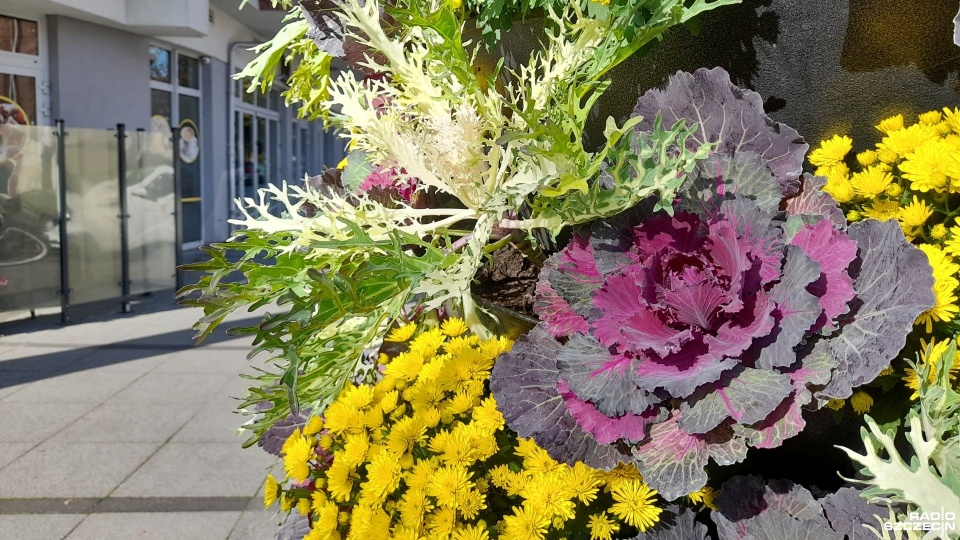 Fot. Joanna Maraszek [Radio Szczecin]