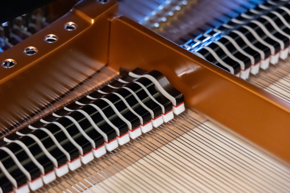 Fot. Robert Stachnik [Radio Szczecin/Archiwum]