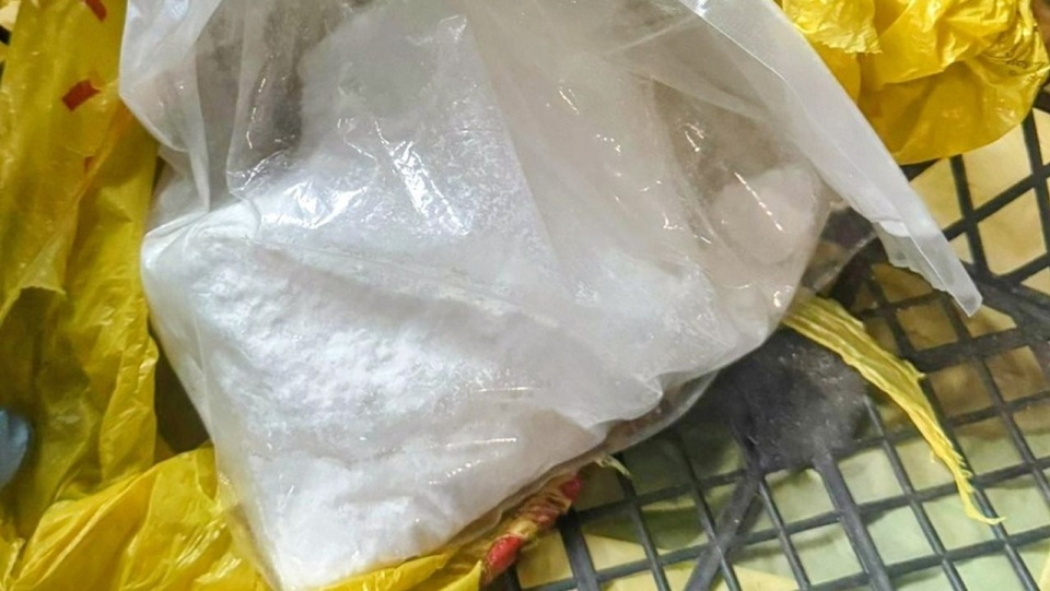 Fot. Komenda Powiatowa Policji w Drawsku Pomorskim