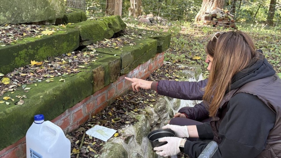 Fot. Natalia Brzozowska, Wydział Rozwoju Strategicznego Starostwa Powiatowego w Policach