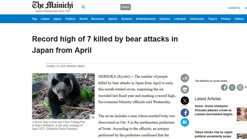 Eksperci wskazują, że główną przyczyną ataków niedźwiedzi jest brak pożywienia w górach, co zmusza te zwierzęta do zapuszczania się na tereny zamieszkane. źródło: mainichi.jp