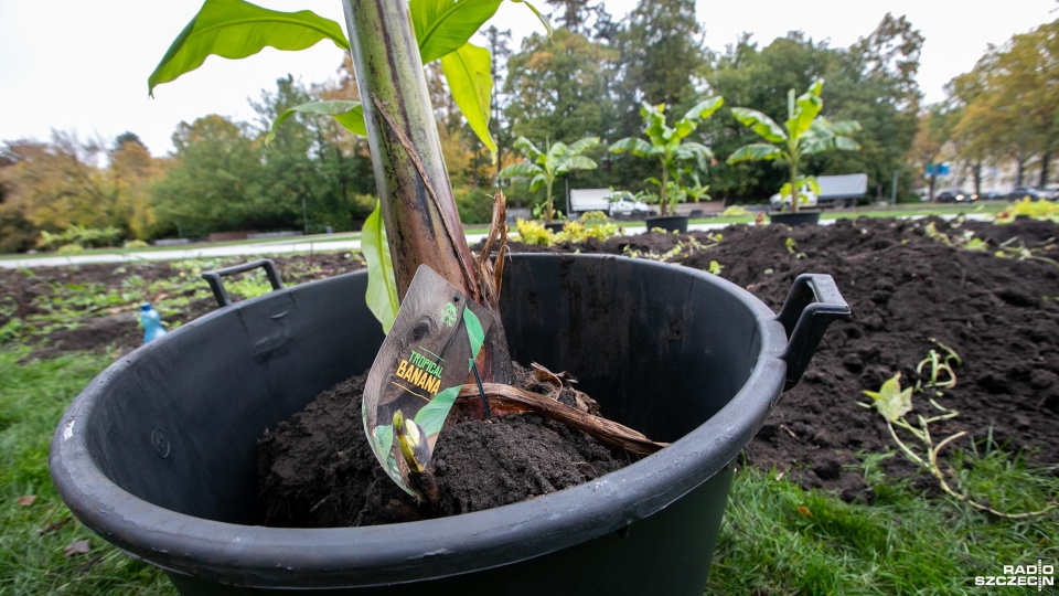 Fot. Weronika Łyczywek [Radio Szczecin]