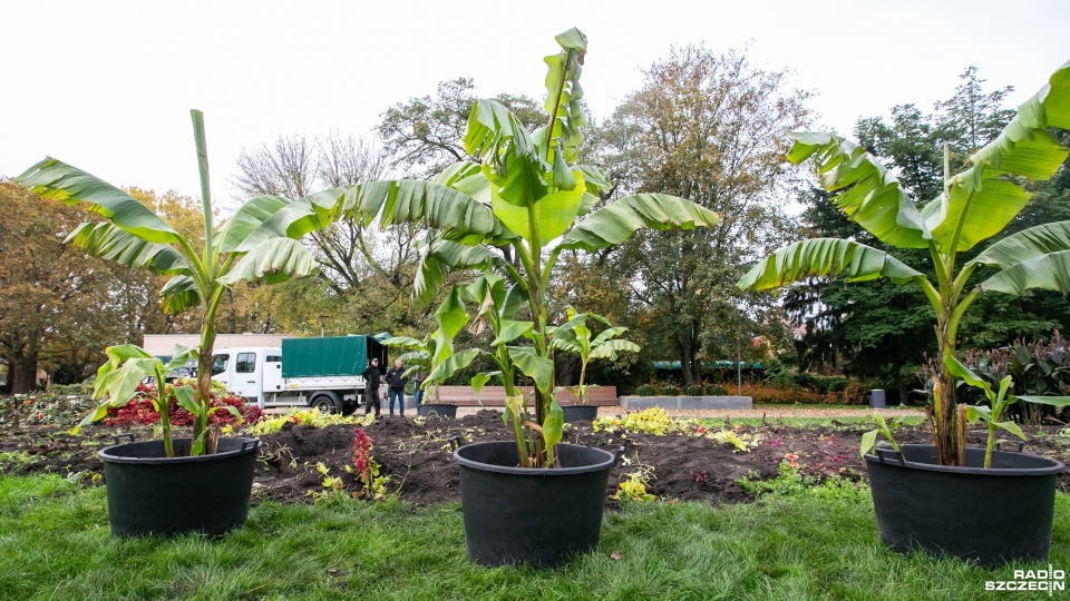 Fot. Weronika Łyczywek [Radio Szczecin]