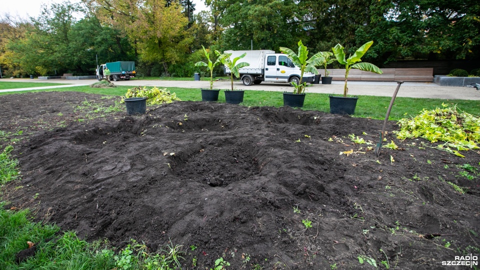 Fot. Weronika Łyczywek [Radio Szczecin]