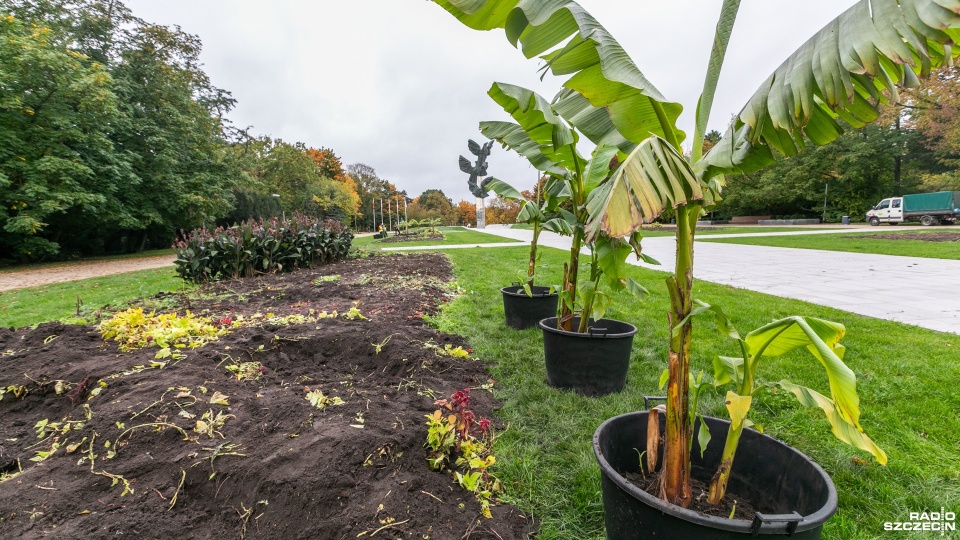 Fot. Weronika Łyczywek [Radio Szczecin]