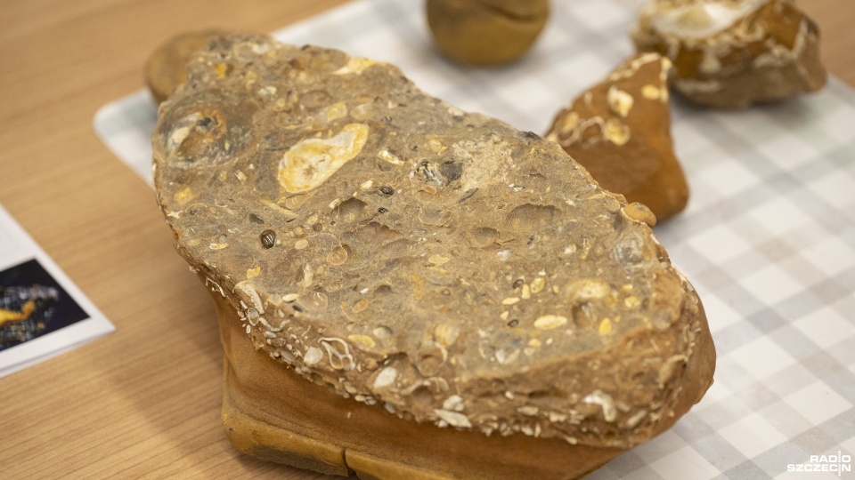 Fot. Kamila Kozioł [Radio Szczecin]