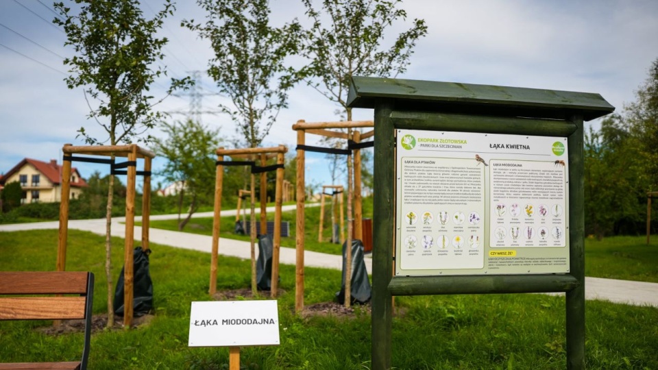 fot. Urząd Miasta Szczecin