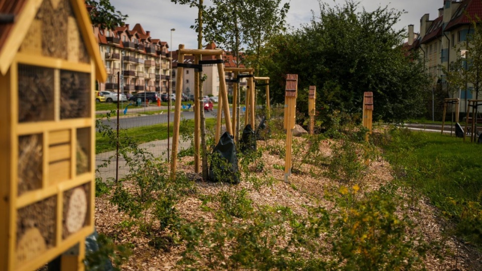 fot. Urząd Miasta Szczecin