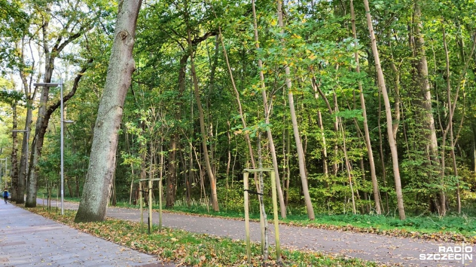 Taras widokowy miałby powstać w zabytkowym parku Aleksandra Fredry. Fot. Przemysław Polanin [Radio Szczecin]