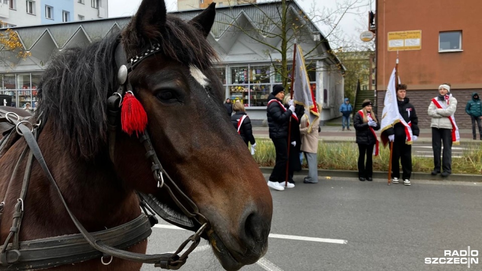 Święto Niepodległości w Świnoujściu - 2024. Fot. Joanna Maraszek [Radio Szczecin]