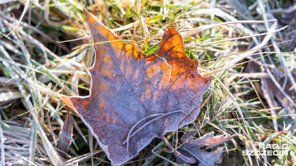 Zdjęcie ilustracyjne. Fot. Robert Stachnik [Radio Szczecin]