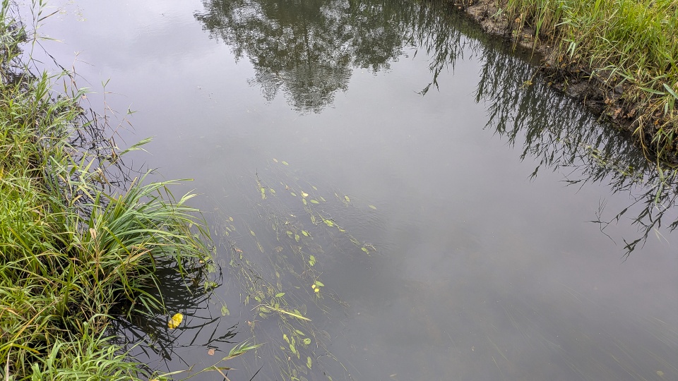 Fot. Maciej Papke [Radio Szczecin]