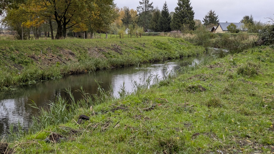Fot. Maciej Papke [Radio Szczecin]