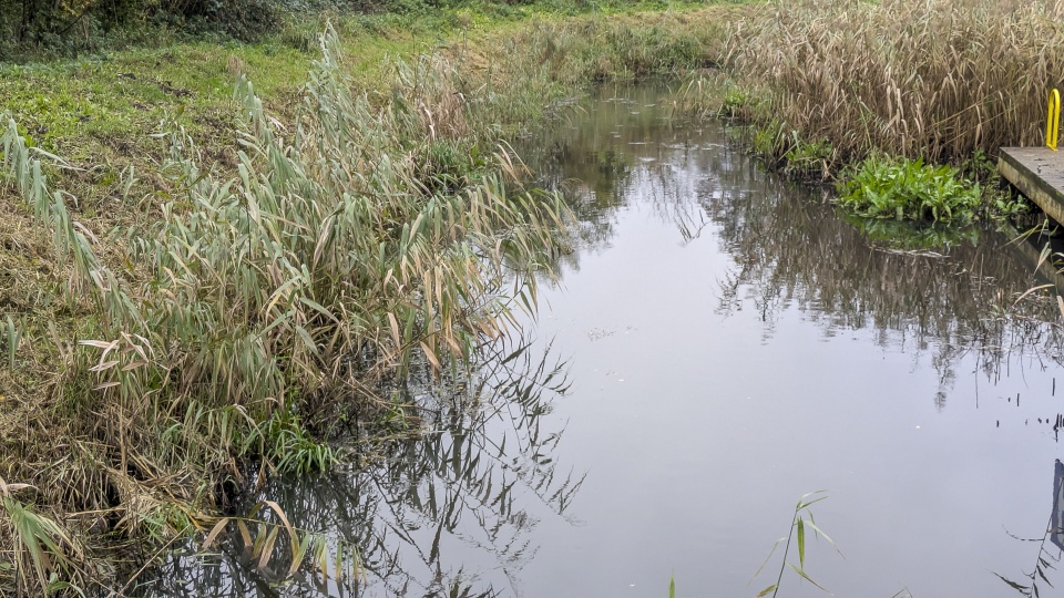 Fot. Maciej Papke [Radio Szczecin]